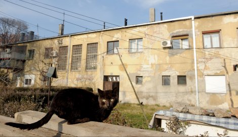 paviljon smrti.jpg